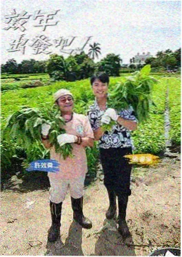 画手请就位 综艺封面